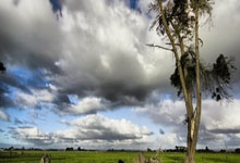 西甲官宣补赛时间巴萨不满欲上诉 看看人家巴黎的待遇.