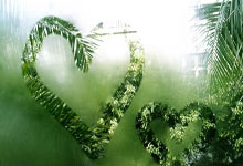 蓝狮在线:马尔基尼奥斯:拉菲尼亚展现了领导力,保持状态他是金球奖竞争者.