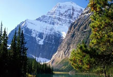 蓝狮在线：富特雷：B费是所有葡萄牙球员的榜样，希望他取得成功.