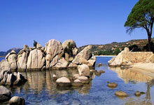 蓝狮在线:葡媒:切尔西计划为埃苏戈支付大约2200万欧元的转会费.